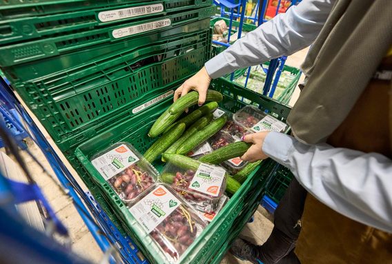 Kd Edeka Tafel Kohler MBB5715