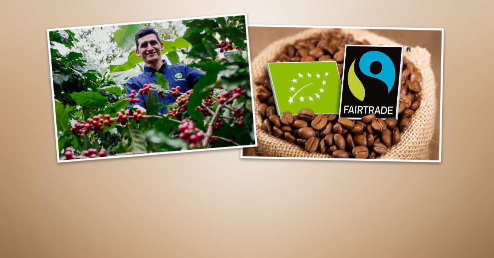 Header 2601 Fairtrade Kaffee X 2400×1256