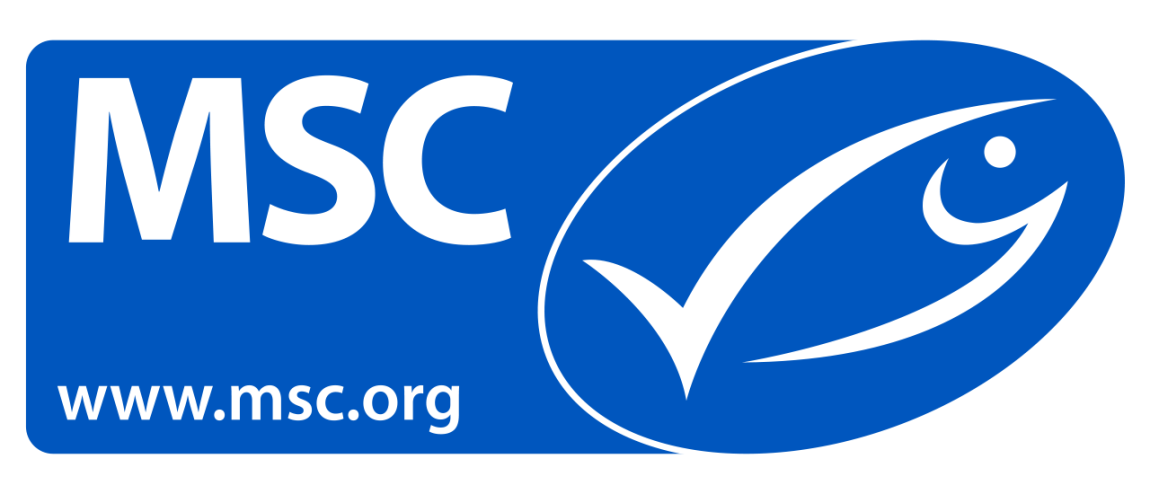 Siegel_MSC_neu