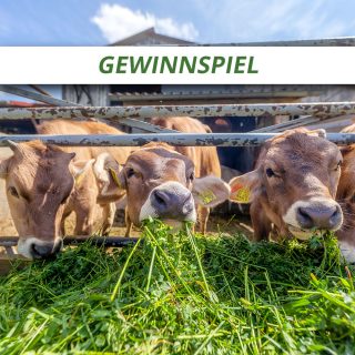 2026_gewinnspiel_Stoerer_1000x1000 2026_gewinnspiel_Stoerer_1000x1000