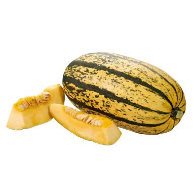Kuerbis_Spaghetti