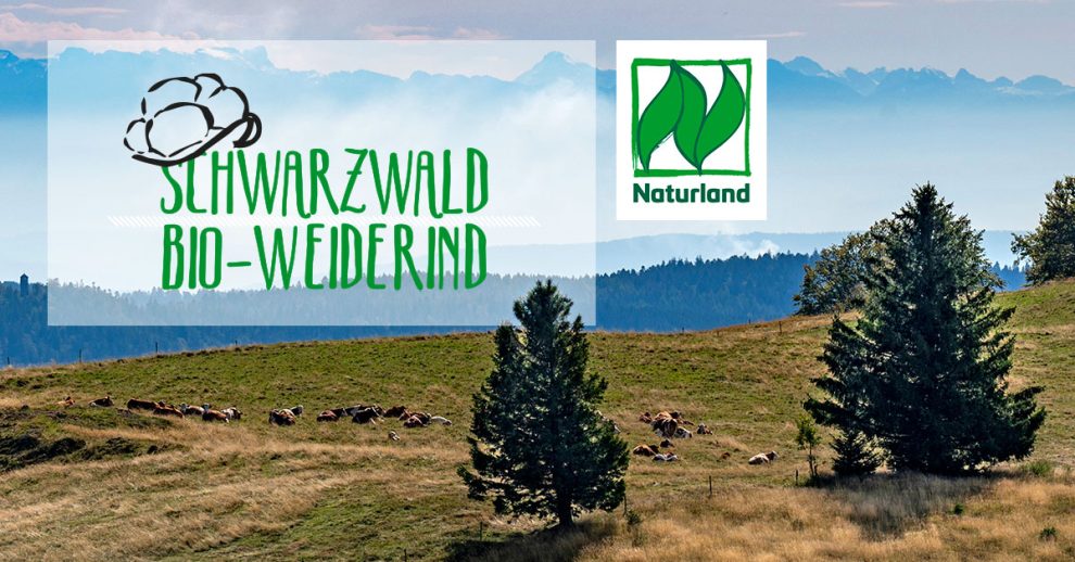 header-1200x628_2405_schwarzwald-bio-weiderinder_gut_fuer_mensch_und_umwelt_X_BIO_neu