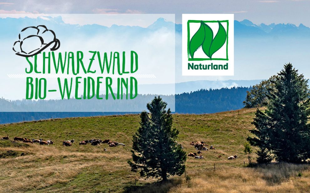 header-1200x628_2405_schwarzwald-bio-weiderinder_gut_fuer_mensch_und_umwelt_X_BIO_neu