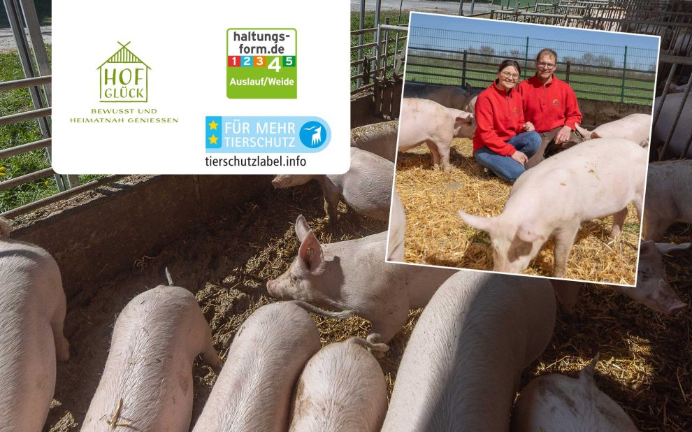 header_2506_hofglueck-story_schwein_X_2400x1256_neu2