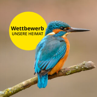 Stoerer_Wettbewerb_UNSERE_HEIMAT